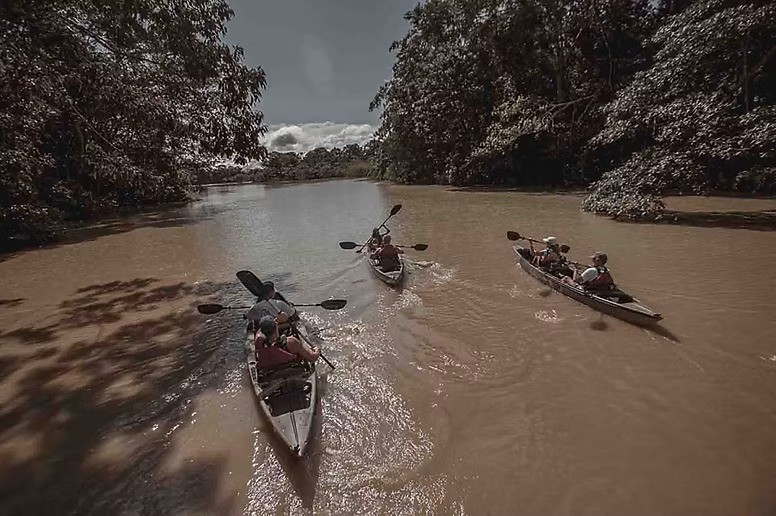 06. Amazonie - Graine de Voyageur