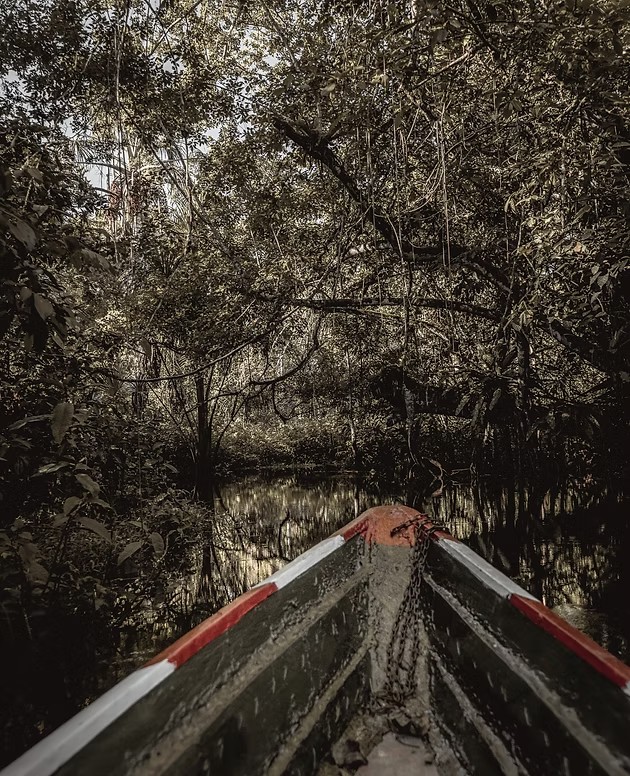 Embarcation naviguant sur une rivière entourée de forêt primaire - jungle du Pérou, Graine de Voyageur