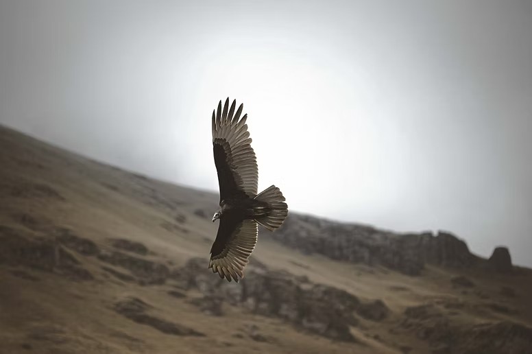 13. Chivay - Croix des condors - Graine de Voyageur